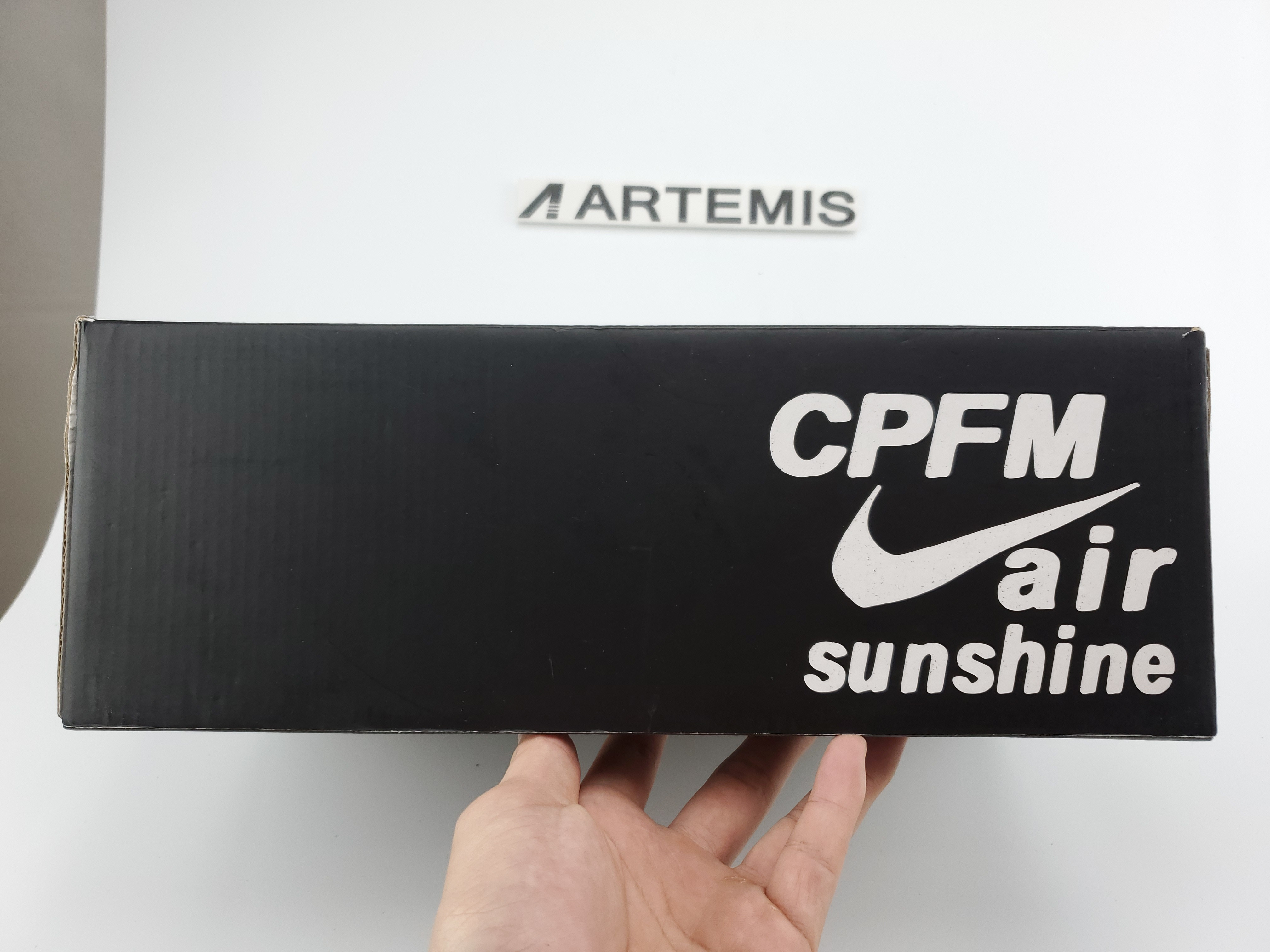 Air VaporMax 2019 Cactus Plant Flea Market