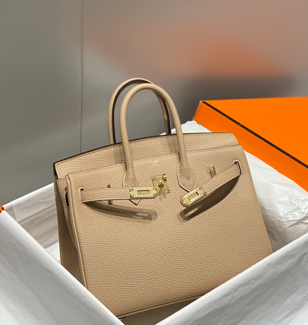 Hermès Birkin 25