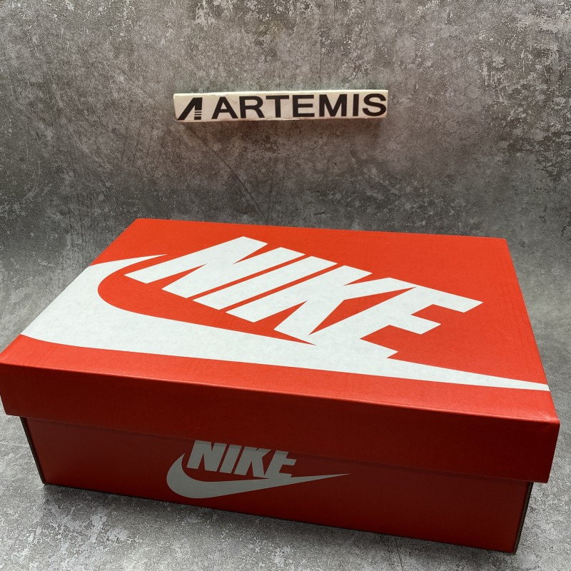 Nike Dunk Low Velcro Tongue