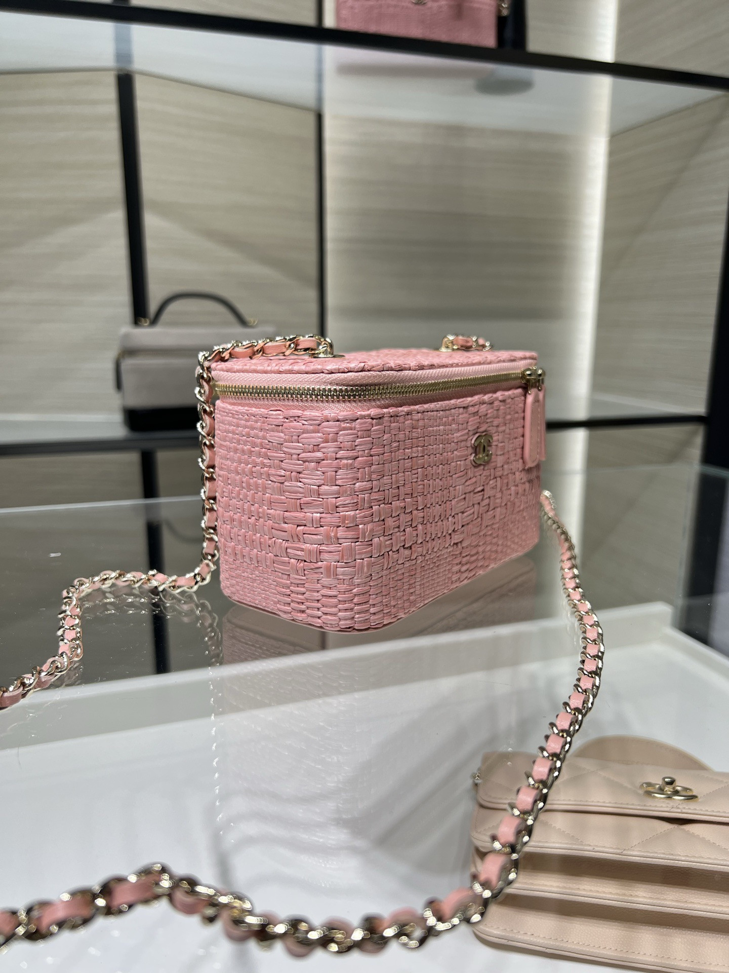Chanel Classic Long Vanity with Chain AP1341 10x16x8cm