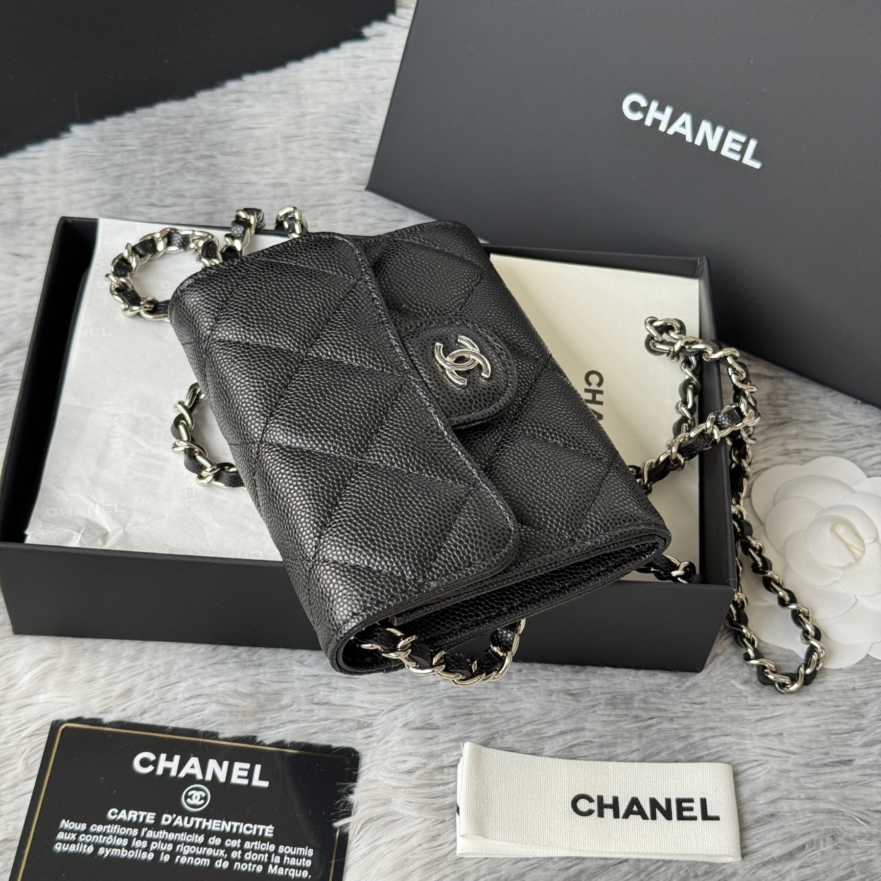Chanel Wallet on Chain 8.5x12.5x2.5cm
