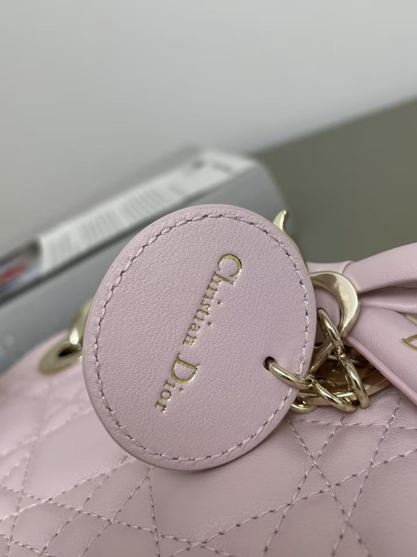 MINI LADY DIOR DIORAMOUR BAG 17x15x7cm