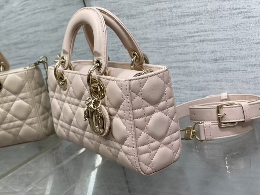 Dior Small Lady D-Joy Bag 22x6x12cm