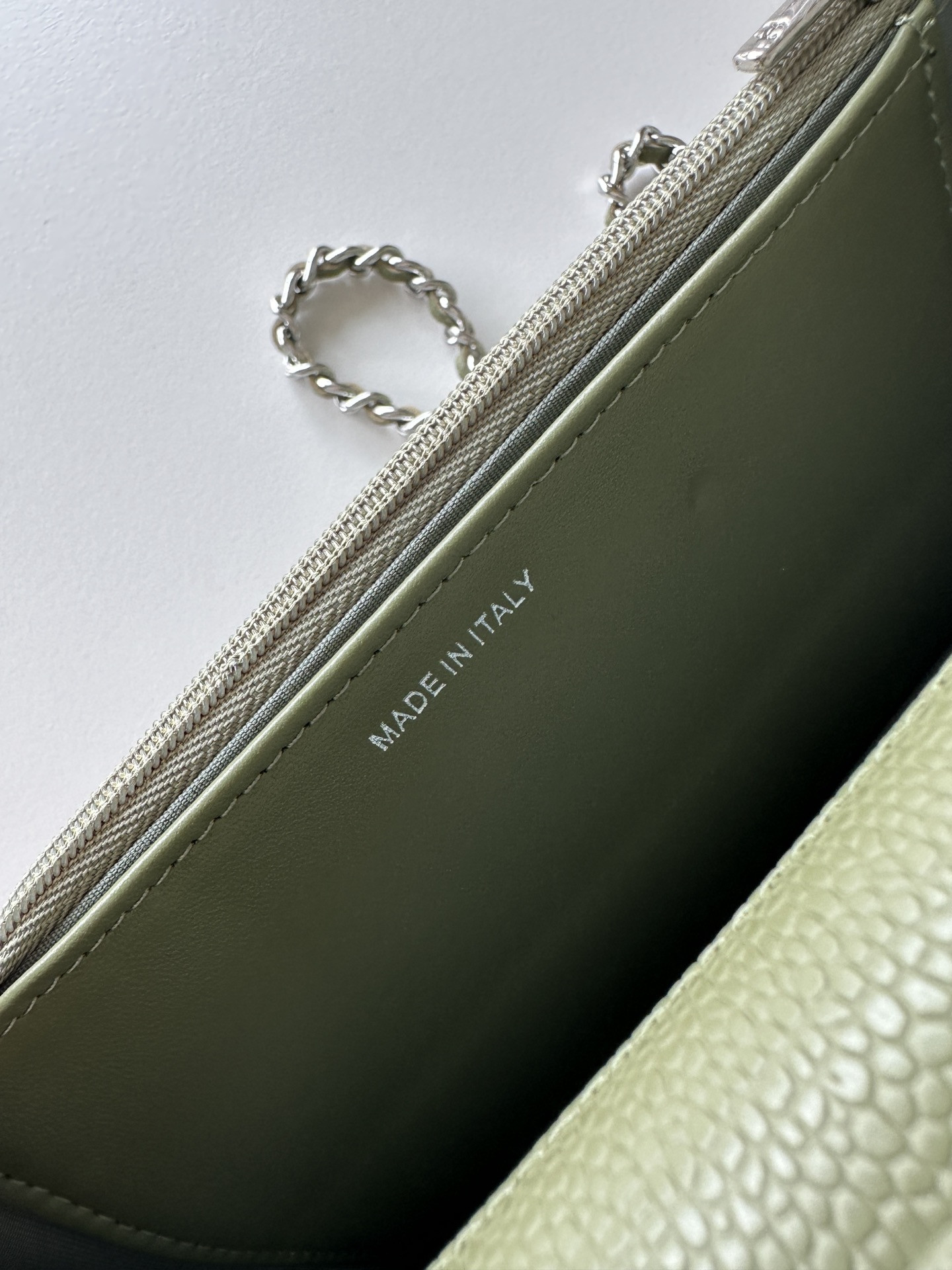 CHANEL WOC CLASSIC WALLET ON CHAIN 13x19cm