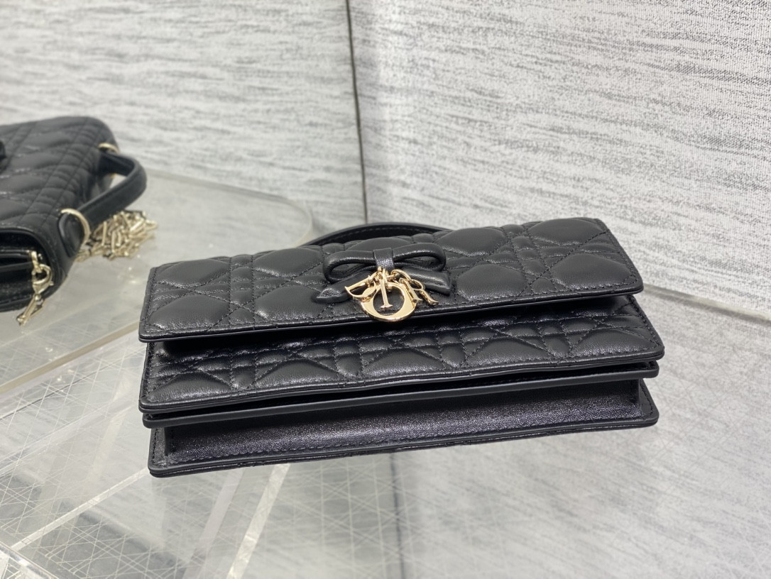 My Dior Mini Bag 21x11.5x4.5cm