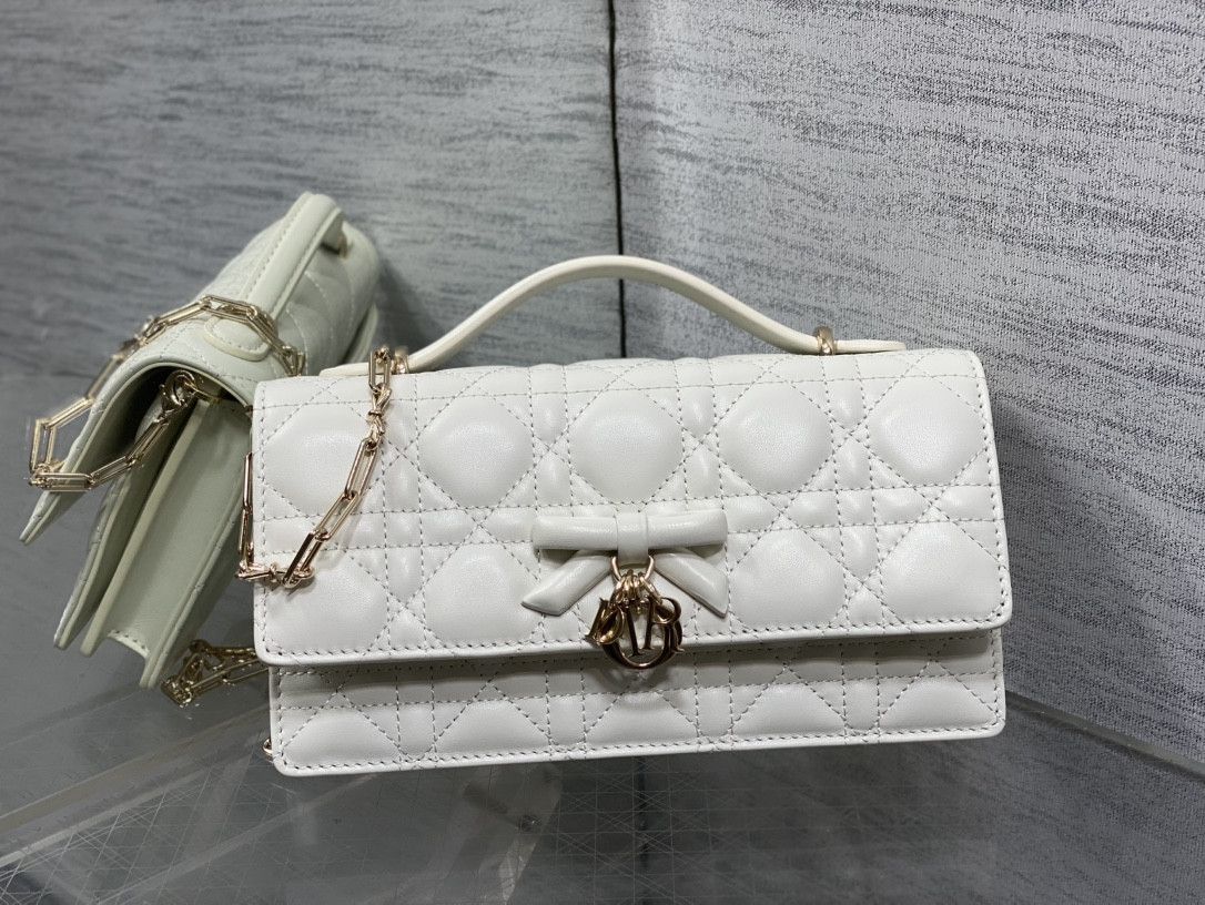 My Dior Mini Bag 21x11.5x4.5cm