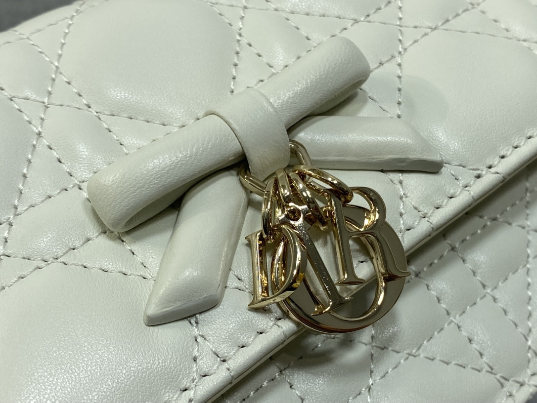 My Dior Mini Bag 21x11.5x4.5cm