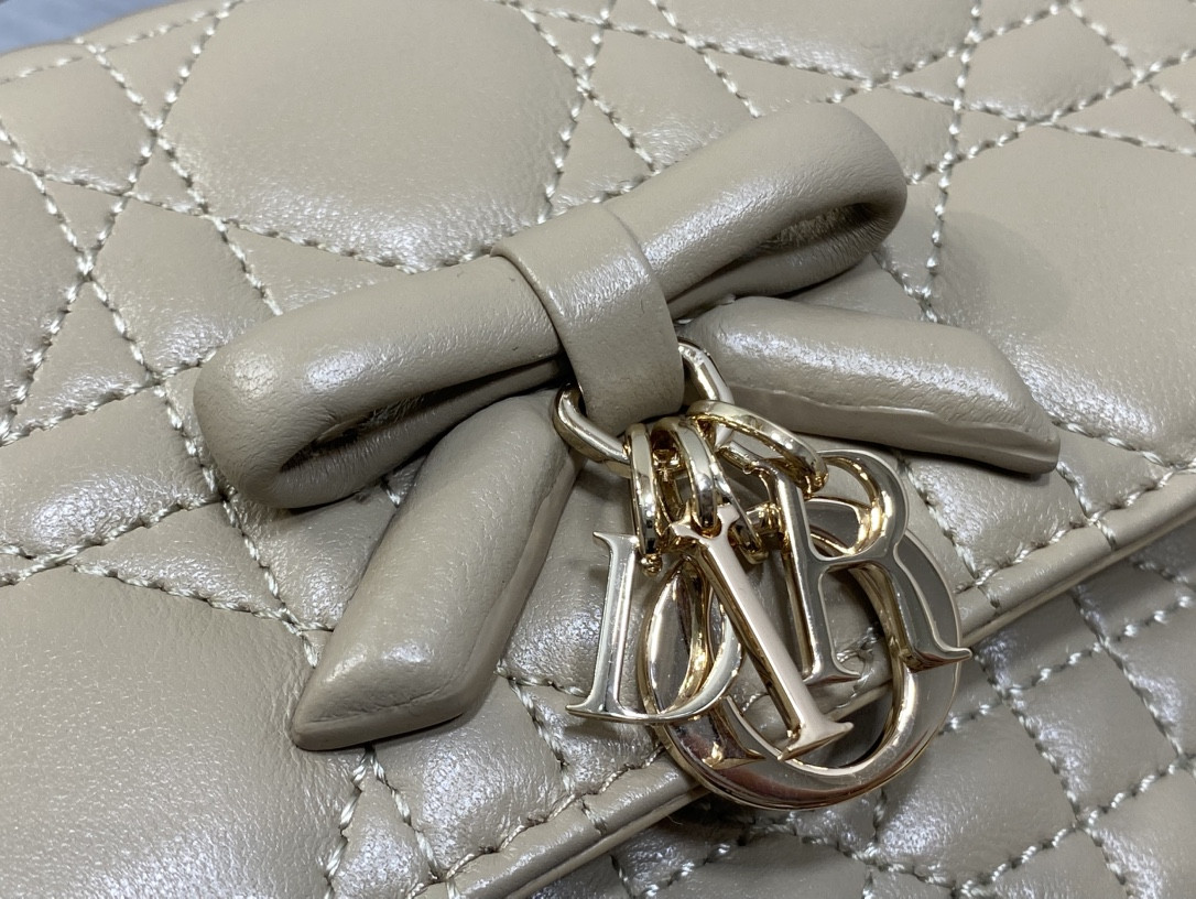 My Dior Mini Bag 21x11.5x4.5cm