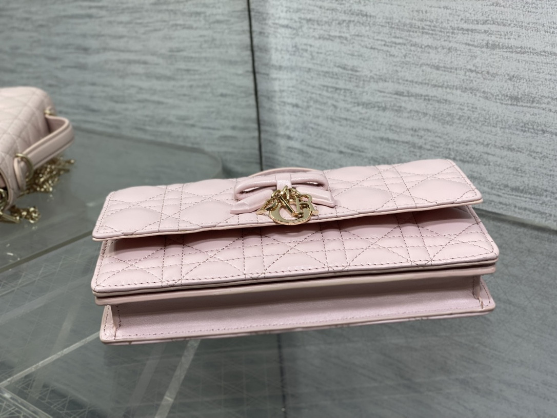 My Dior Mini Bag 21x11.5x4.5cm