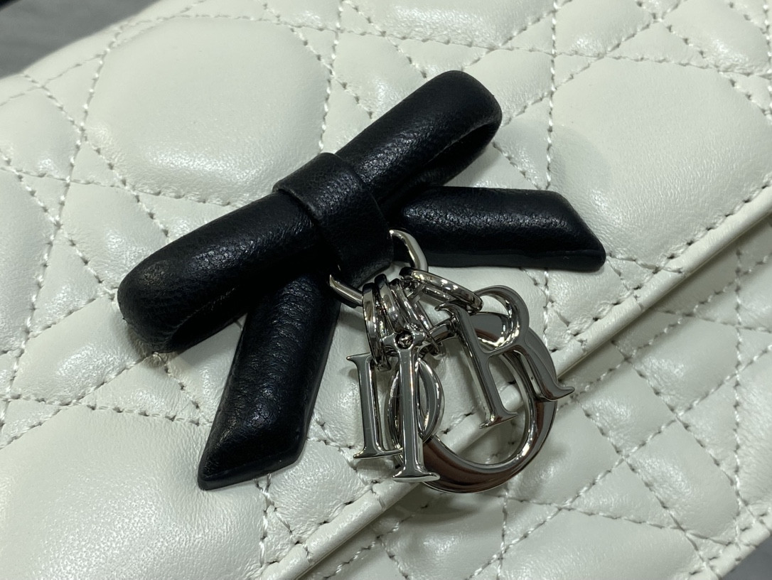 My Dior Mini Bag 21x11.5x4.5cm