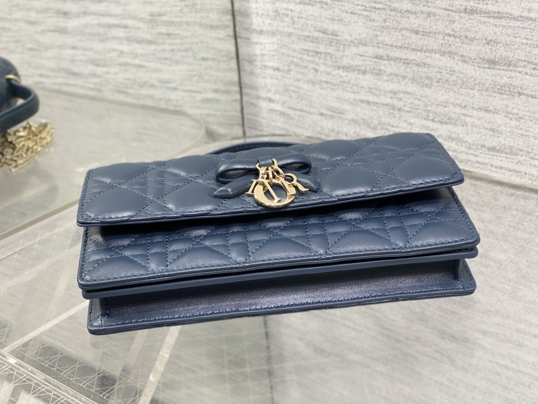 My Dior Mini Bag 21x11.5x4.5cm